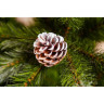 Новогодняя елка TRIUMPH TREE, Женева, 185 см, заснеженная 73997